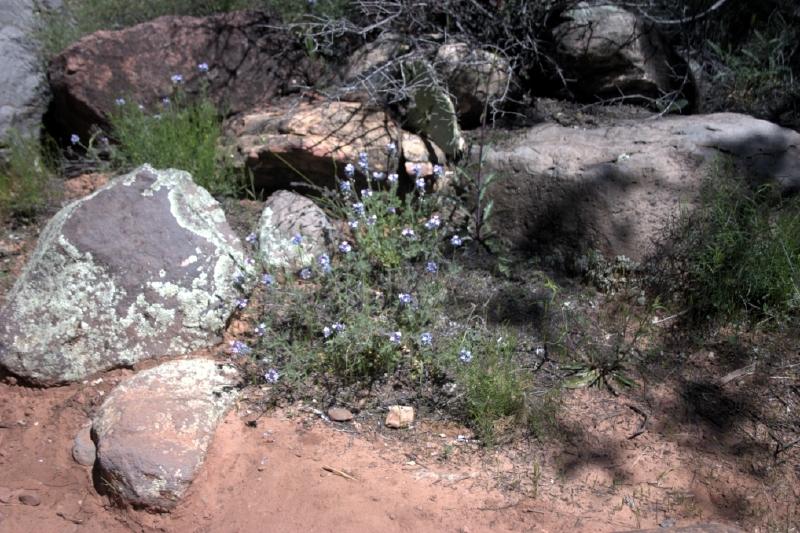 crw_2853.jpg