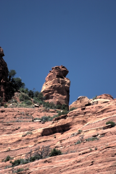 crw_2911.jpg