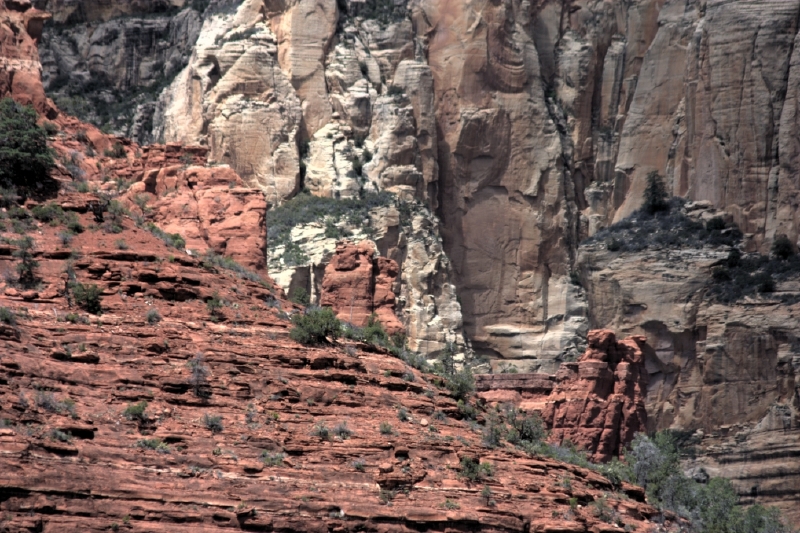 crw_2913.jpg