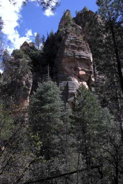 crw_2940.jpg