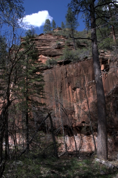 crw_2942.jpg