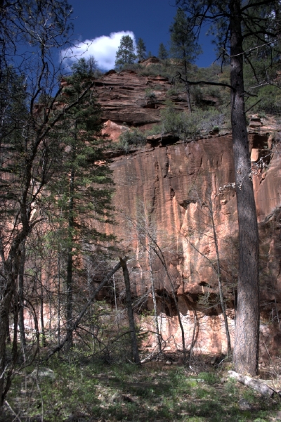 crw_2943.jpg