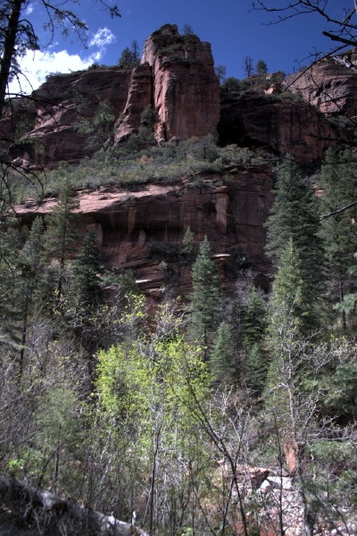 crw_2947.jpg