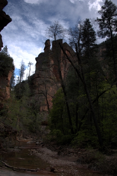 crw_2950.jpg