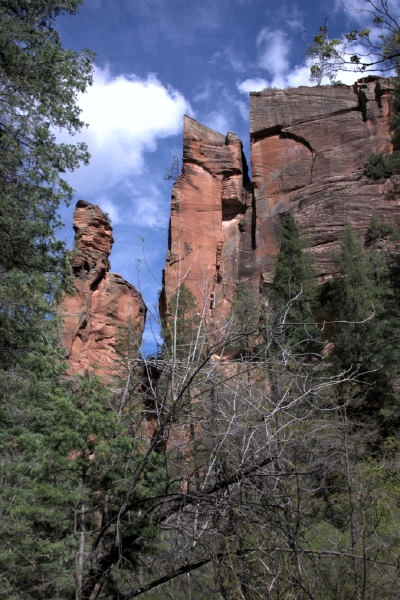 crw_2956.jpg