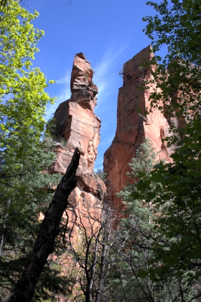 crw_2958.jpg