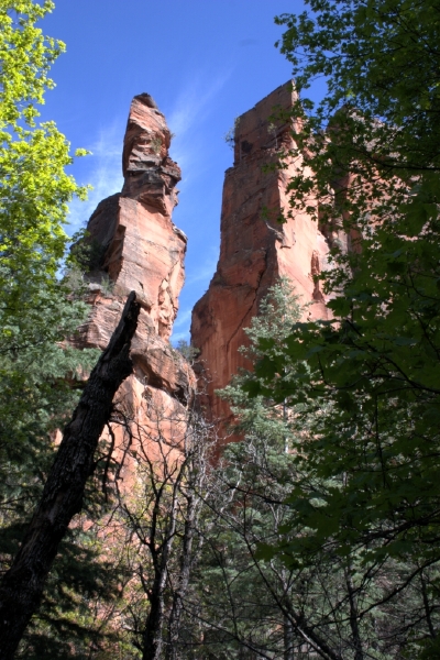 crw_2959.jpg