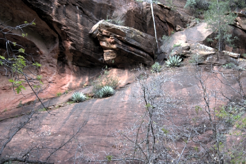 crw_2962.jpg