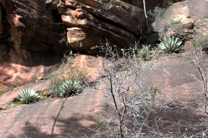 crw_2964.jpg