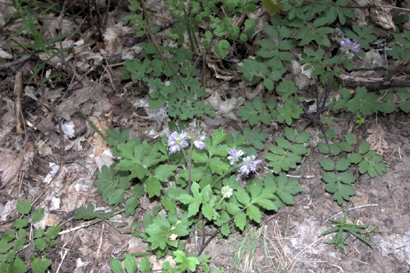 crw_2967.jpg
