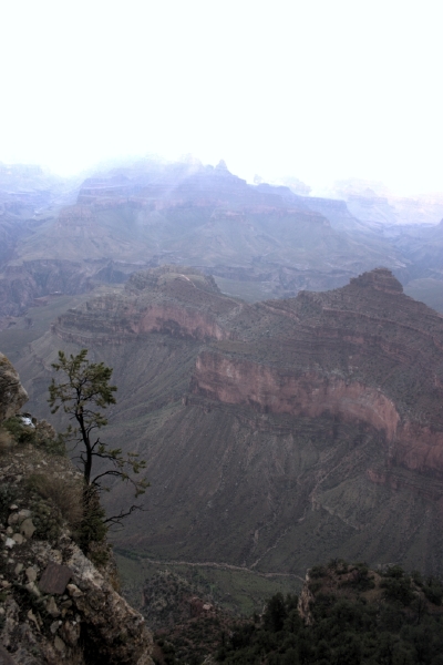crw_2984.jpg