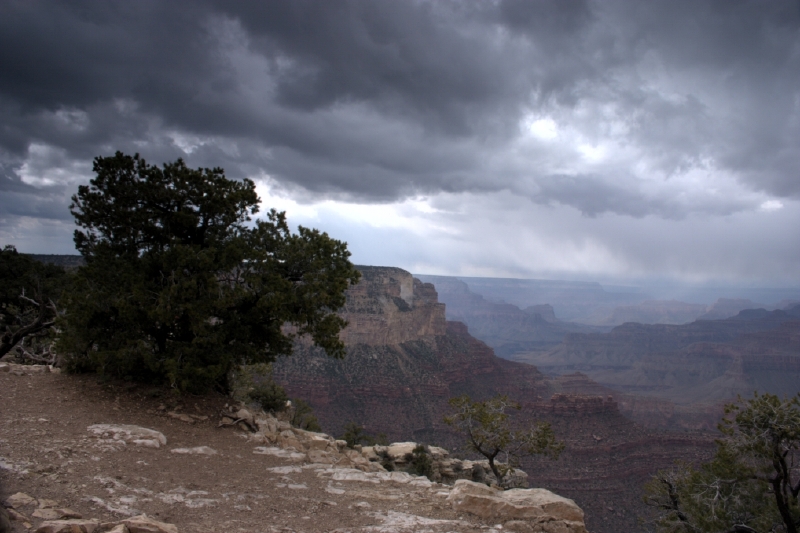 crw_3014.jpg