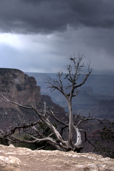 crw_3015.jpg