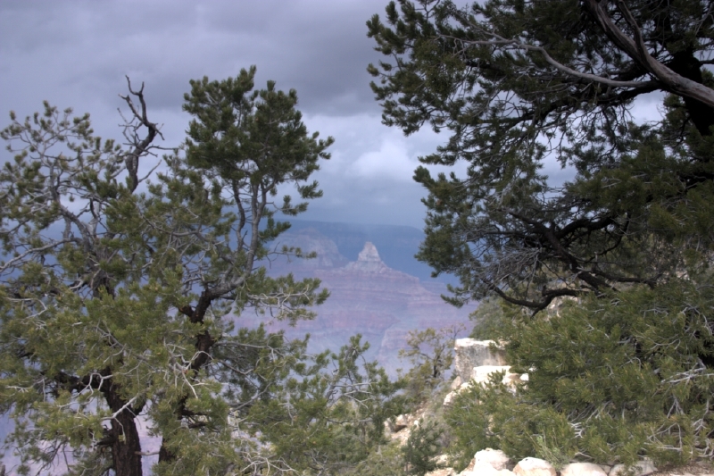 crw_3016.jpg