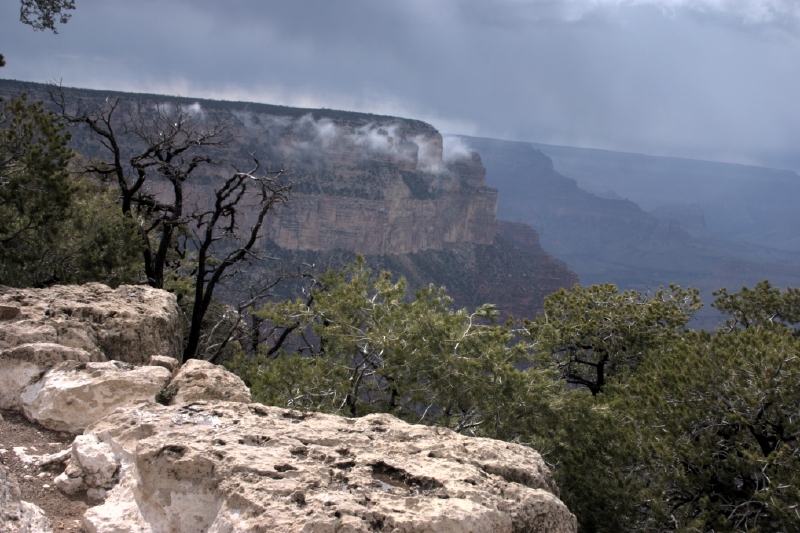 crw_3021.jpg