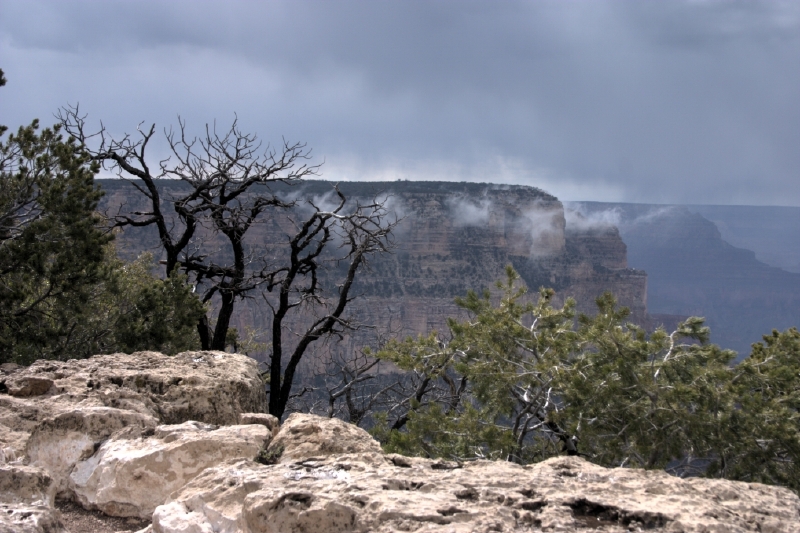 crw_3023.jpg