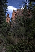 crw_2954.jpg