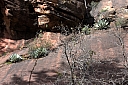 crw_2963.jpg