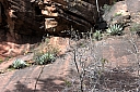 crw_2964.jpg