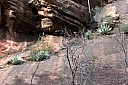 crw_2965.jpg
