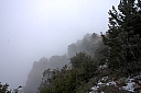 crw_2977.jpg