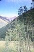 img_7944.jpg