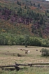 img_7948.jpg
