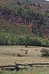 img_7949.jpg
