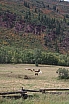img_7950.jpg