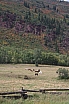 img_7951.jpg