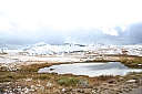 img_7965.jpg