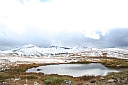 img_7968.jpg