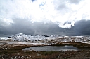 img_7972.jpg