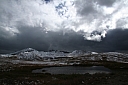 img_7973.jpg