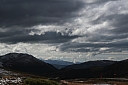 img_7979.jpg