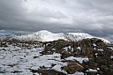 img_7981.jpg
