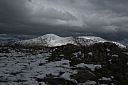 img_7982.jpg