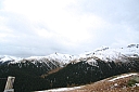 img_7989.jpg