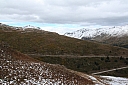 img_7993.jpg