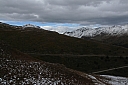 img_7994.jpg