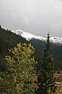 img_8004.jpg