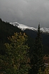 img_8005.jpg