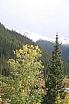 img_8006.jpg