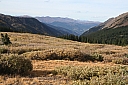 img_8106.jpg