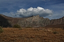 img_8117.jpg