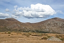 img_8131.jpg