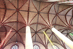 img_0196.jpg