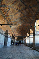 img_0520.jpg