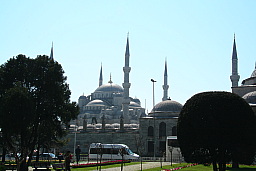 img_0533.jpg
