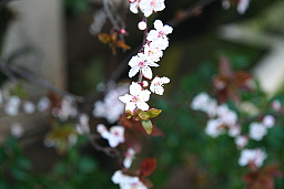 img_0540.jpg